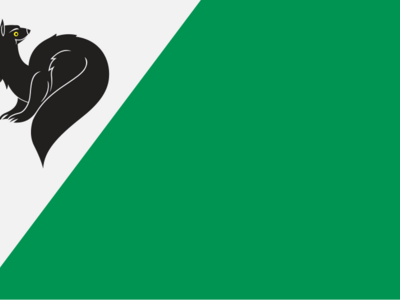 Флаг Мегиона.  Флаг является официальным символом муниципального образования. Зеленое полотнище с белым верхним углом - изображение сидящего и обернувшегося от древка черного соболя.